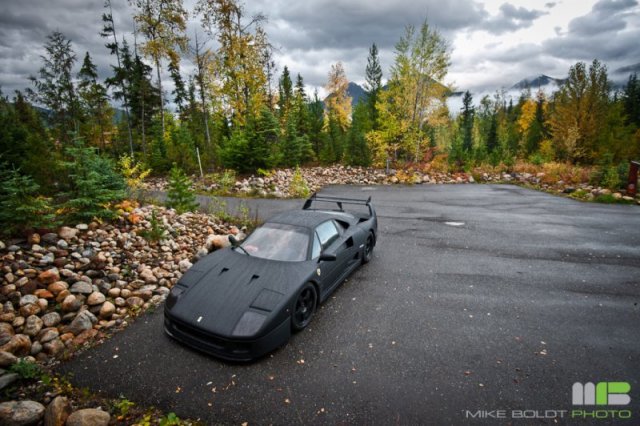 Ferrari F40 fully wrapped in 3M DI-NOC carbon fiber vinyl